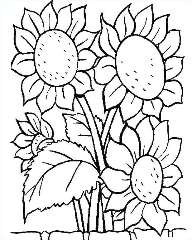 Dibujo de Un Ramo de Girasoles para Colorear