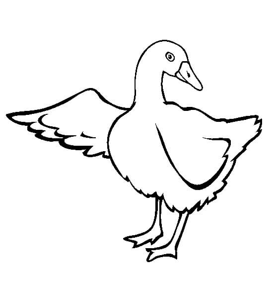 Dibujo de Bonito Ganso para Colorear