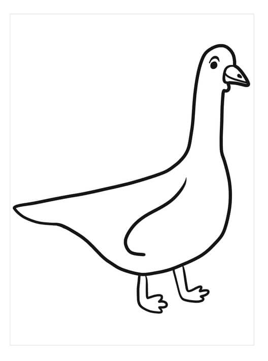 Dibujo de Buen Ganso para Colorear