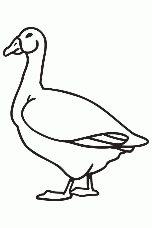 Dibujo de Ganso para Colorear