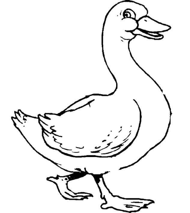 Dibujo de Divertido Ganso Caminar para Colorear