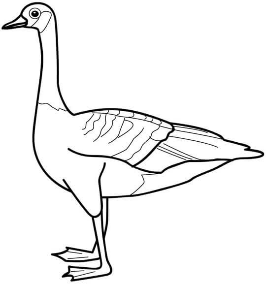 Dibujo de Ganso Impresionante para Colorear
