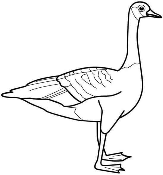 Dibujo de Ganso Perfecto para Colorear