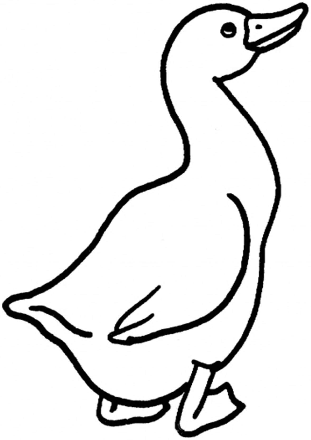 Dibujo de Ganso Simple para Colorear