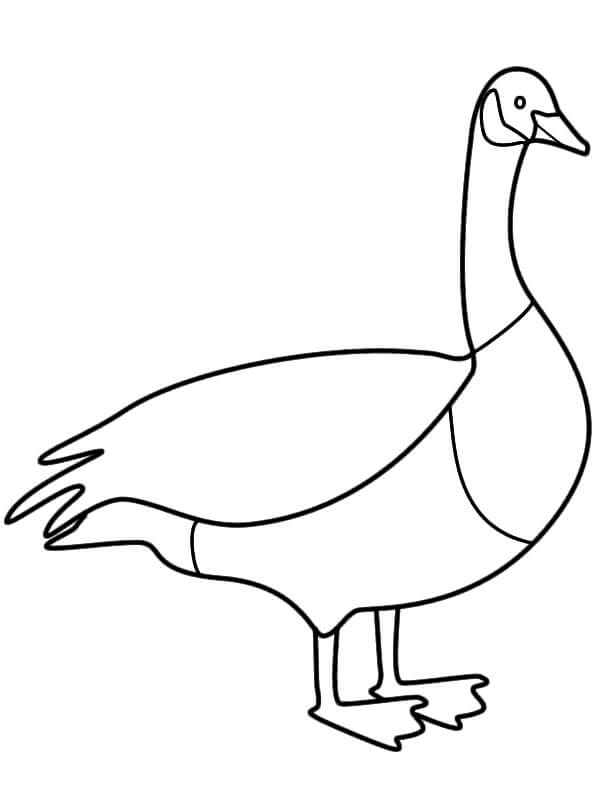 Dibujo de Ganso de Canad para Colorear