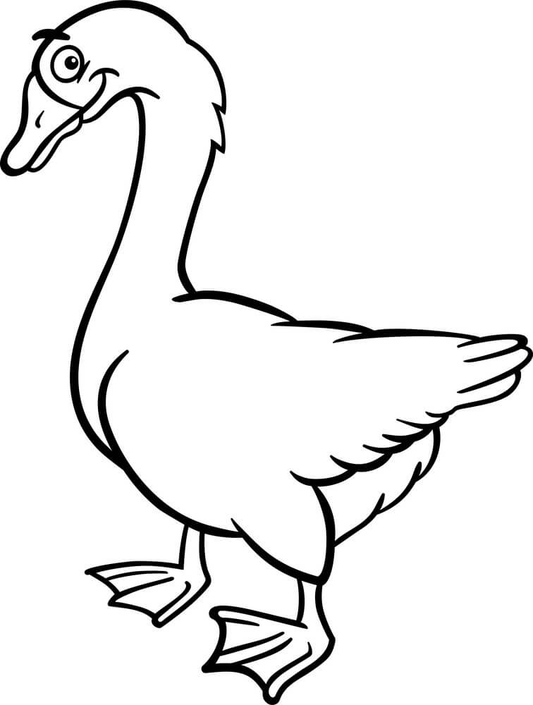 Dibujo de Ganso de Granja para Colorear