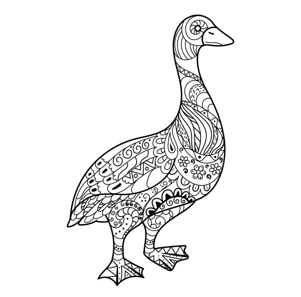 Dibujo de Goose Es para Adultos para Colorear