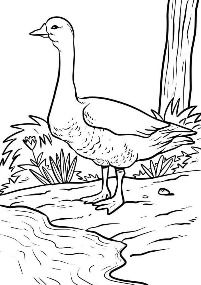 Dibujo de Gran Ganso para Colorear