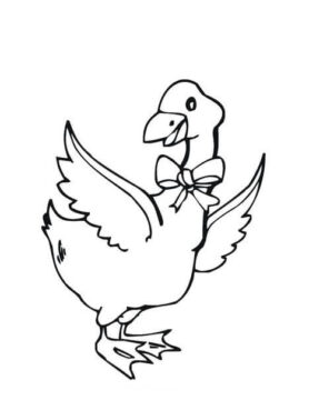 Dibujo de Hermoso Ganso para Colorear