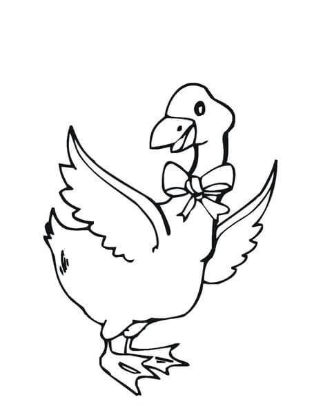 Dibujo de Hermoso Ganso para Colorear
