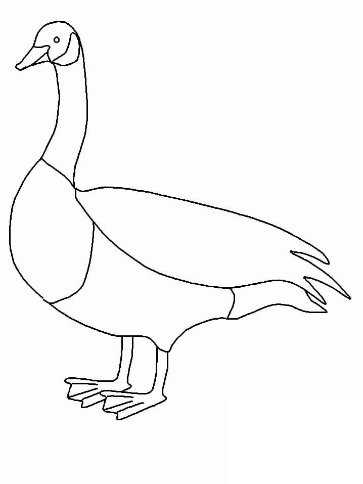 Dibujo de Increble Ganso para Colorear