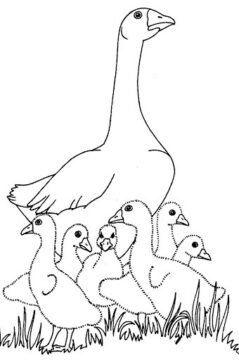 Dibujo de Mam Oca y Sus Cachorros para Colorear