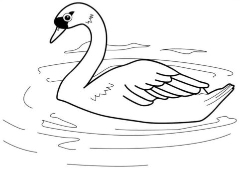 Dibujo de Natacin Bsica del Ganso para Colorear
