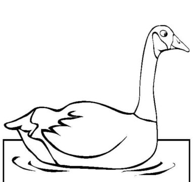Dibujo de Natacin del Ganso para Colorear