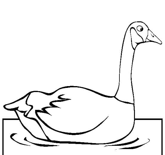 Dibujo de Natacin del Ganso para Colorear