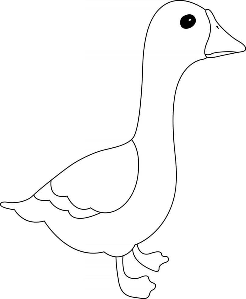 Dibujo de Pequeo Ganso para Colorear