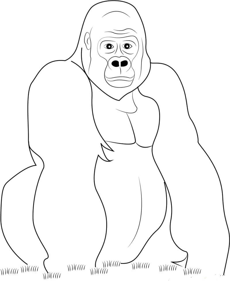 Dibujo de Buen Gorila para Colorear