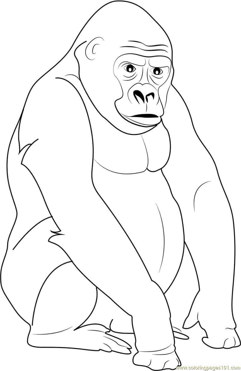 Dibujo de Gorila Espalda Plateada para Colorear