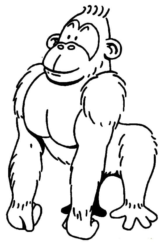 Dibujo de Gorila Fcil para Colorear
