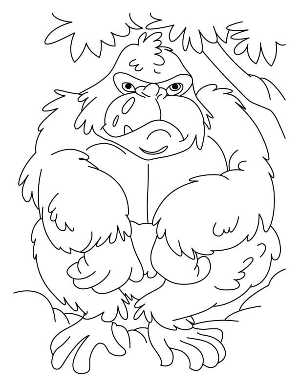 Dibujo de Gorila Gordo para Colorear