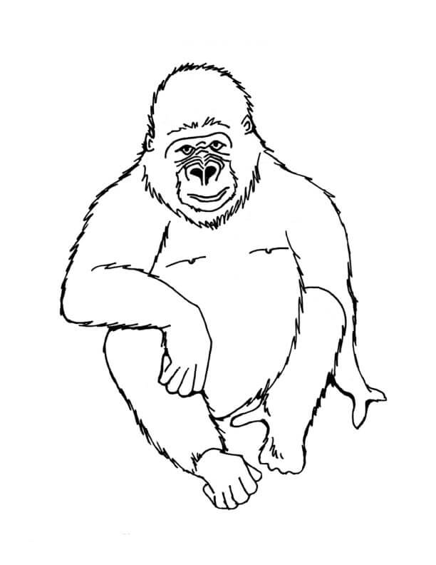 Dibujo de Gorila Sentado para Colorear
