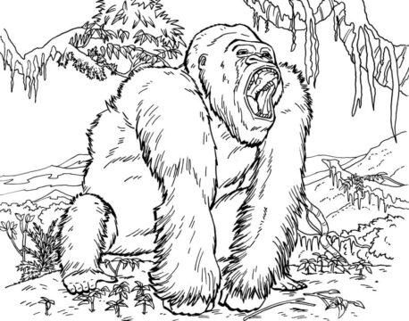 Dibujo de Rugido de Gorilas para Colorear