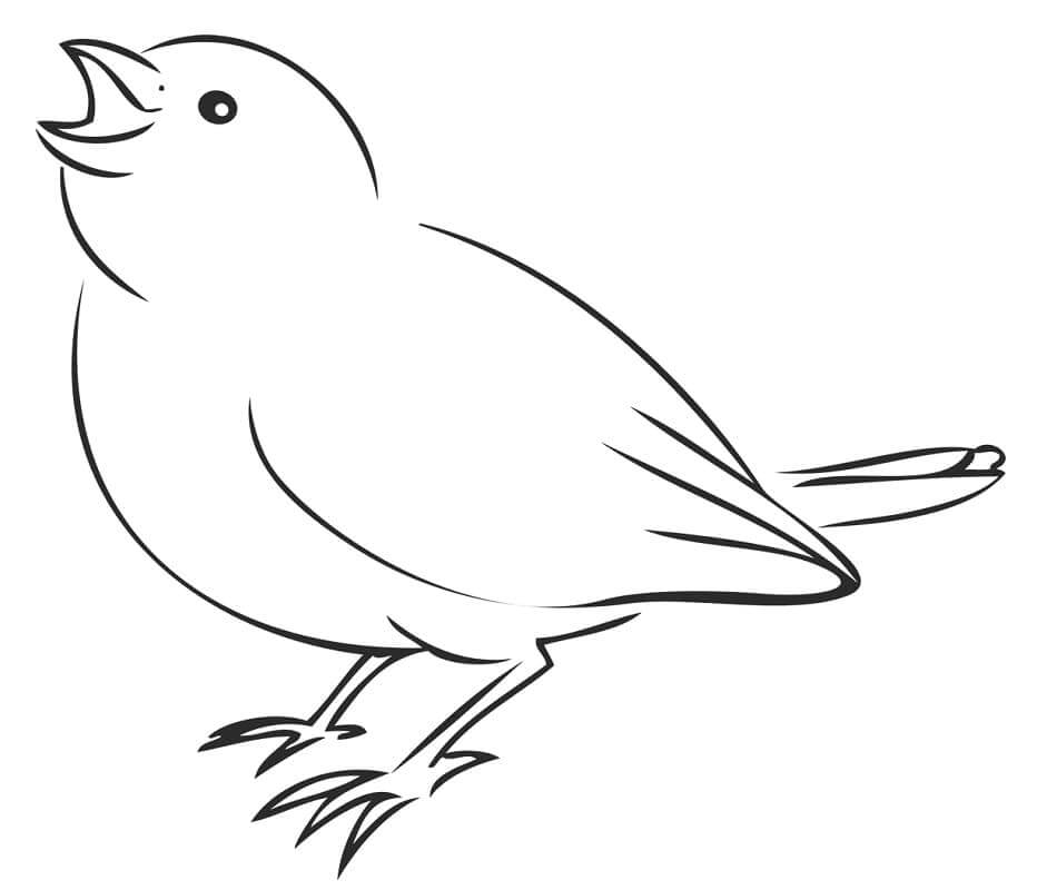 Dibujo de Gorrin Cantando para Colorear