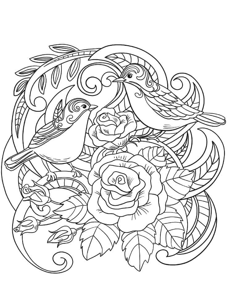 Dibujo de Gorrin Duro para Colorear