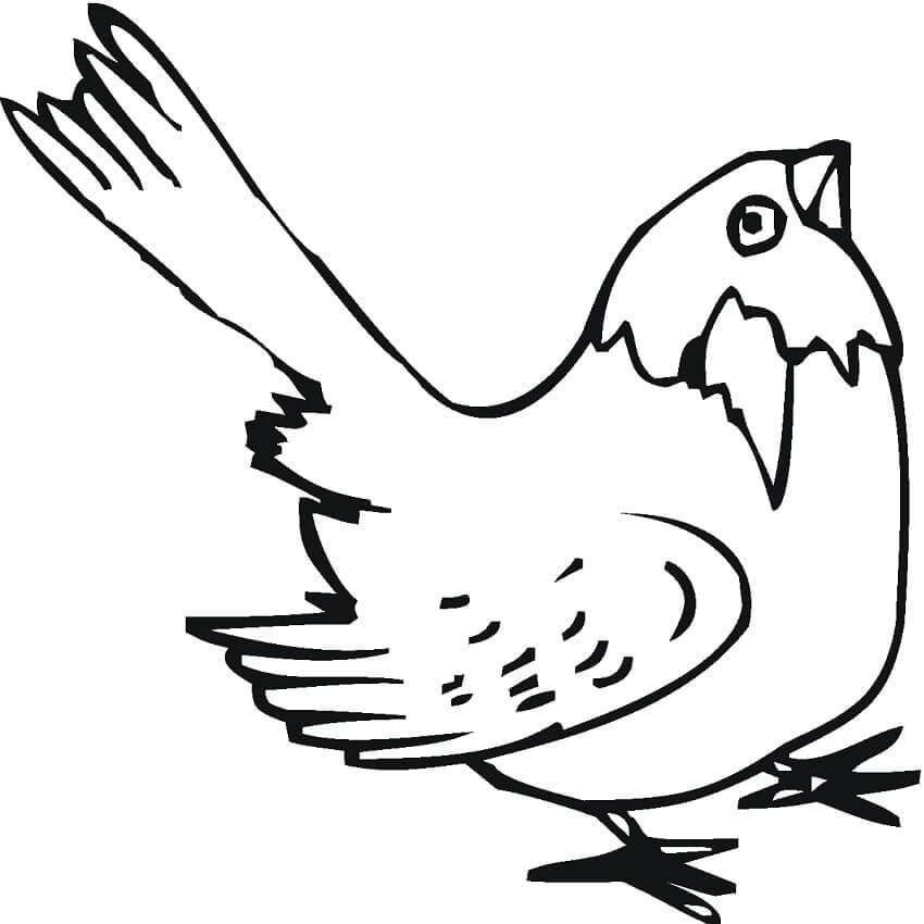 Dibujo de Gorrin Gracioso para Colorear
