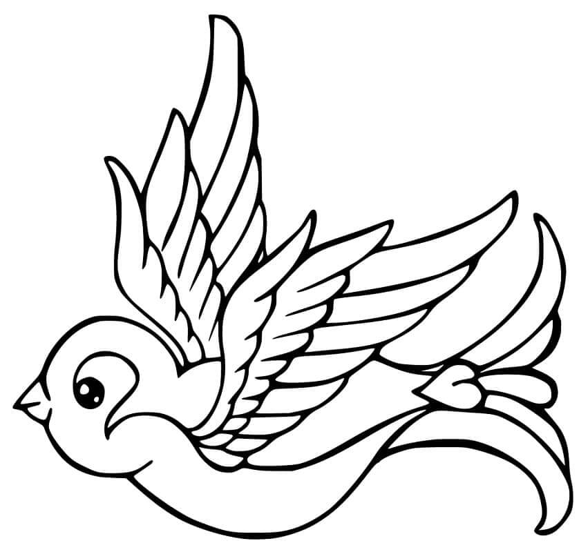 Dibujo de Gorrin de Dibujos Animados Volando para Colorear