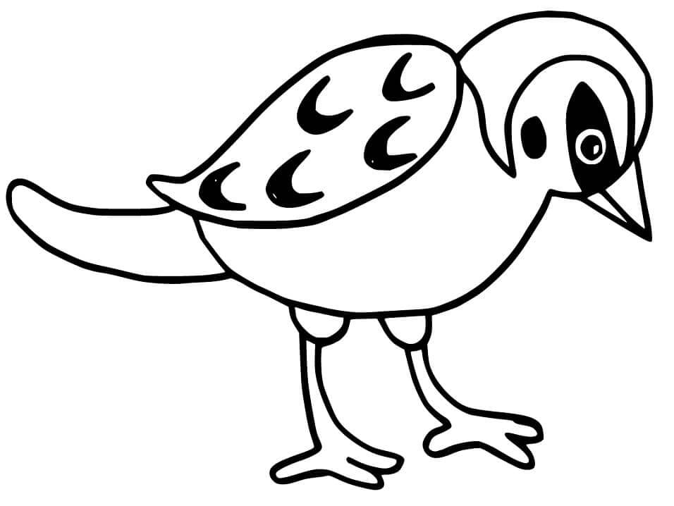 Dibujo de Gran Gorrin para Colorear