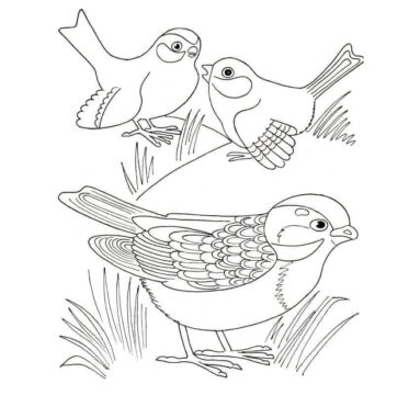Dibujo de Tres Gorriones para Colorear