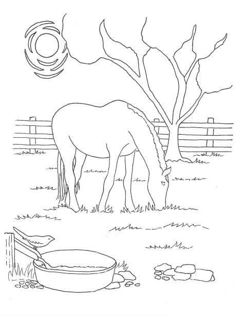 Dibujo de Caballo Comiendo Hierba en el Granero para Colorear