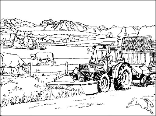 Dibujo de Hermosa Granja para Colorear