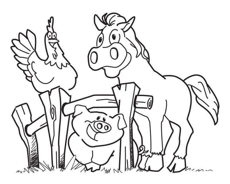 Dibujo de Pollo Caballo y Cerdo en la Granja para Colorear