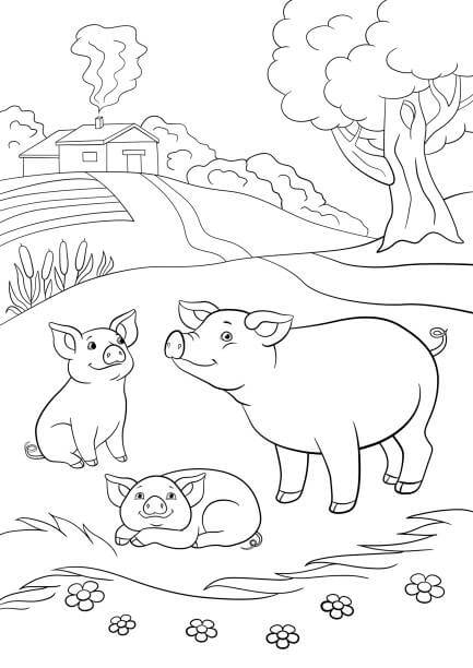 Dibujo de Tres Cerdos en la Granja para Colorear