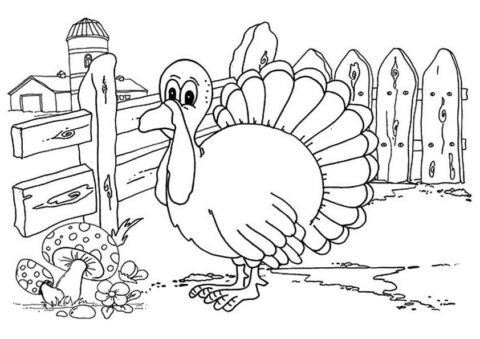 Dibujo de Turqua en la Granja para Colorear