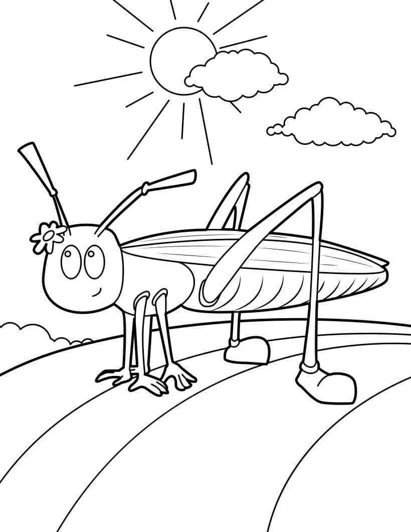 Dibujo de Encantador Grillo para Colorear