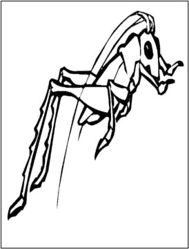 Dibujo de Salto de Grillo de Dibujo para Colorear