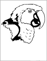 Dibujo de Cara de Guacamayo Loro para Colorear