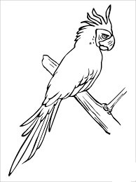 Dibujo de Guacamayo Adorable para Colorear