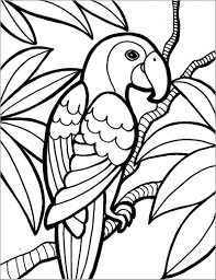 Dibujo de Guacamayo Agradable para Colorear