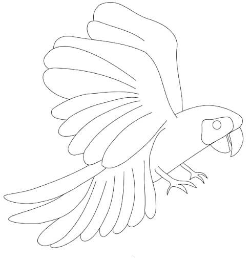 Dibujo de Guacamayo Blanco para Colorear