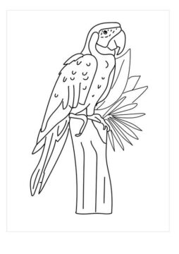 Dibujo de Guacamayo Perfecto para Colorear