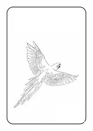 Dibujo de Loro Guacamayo Escarlata para Colorear