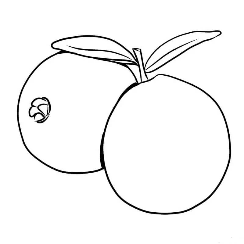 Dibujo de Buena Guayaba para Colorear
