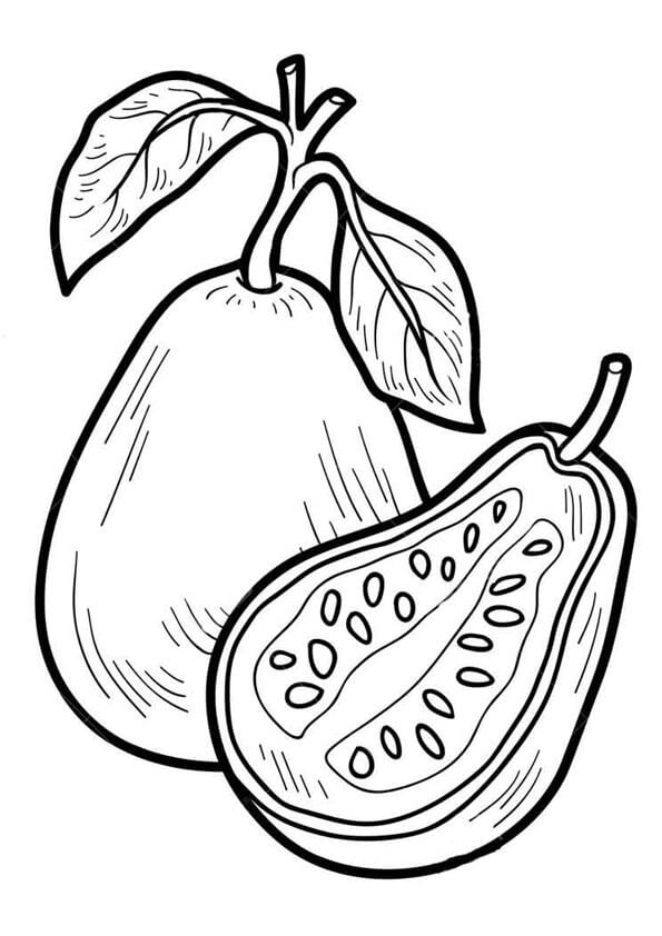 Dibujo de Guayaba para Colorear