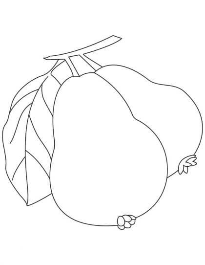 Dibujo de Dos Guayabas para Colorear