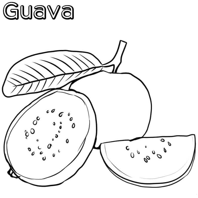Dibujo de Guayaba básica para Colorear
