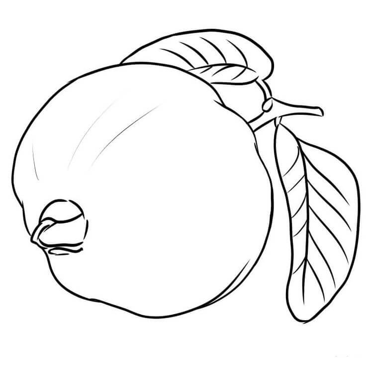 Dibujo de Guayaba Dulce para Colorear
